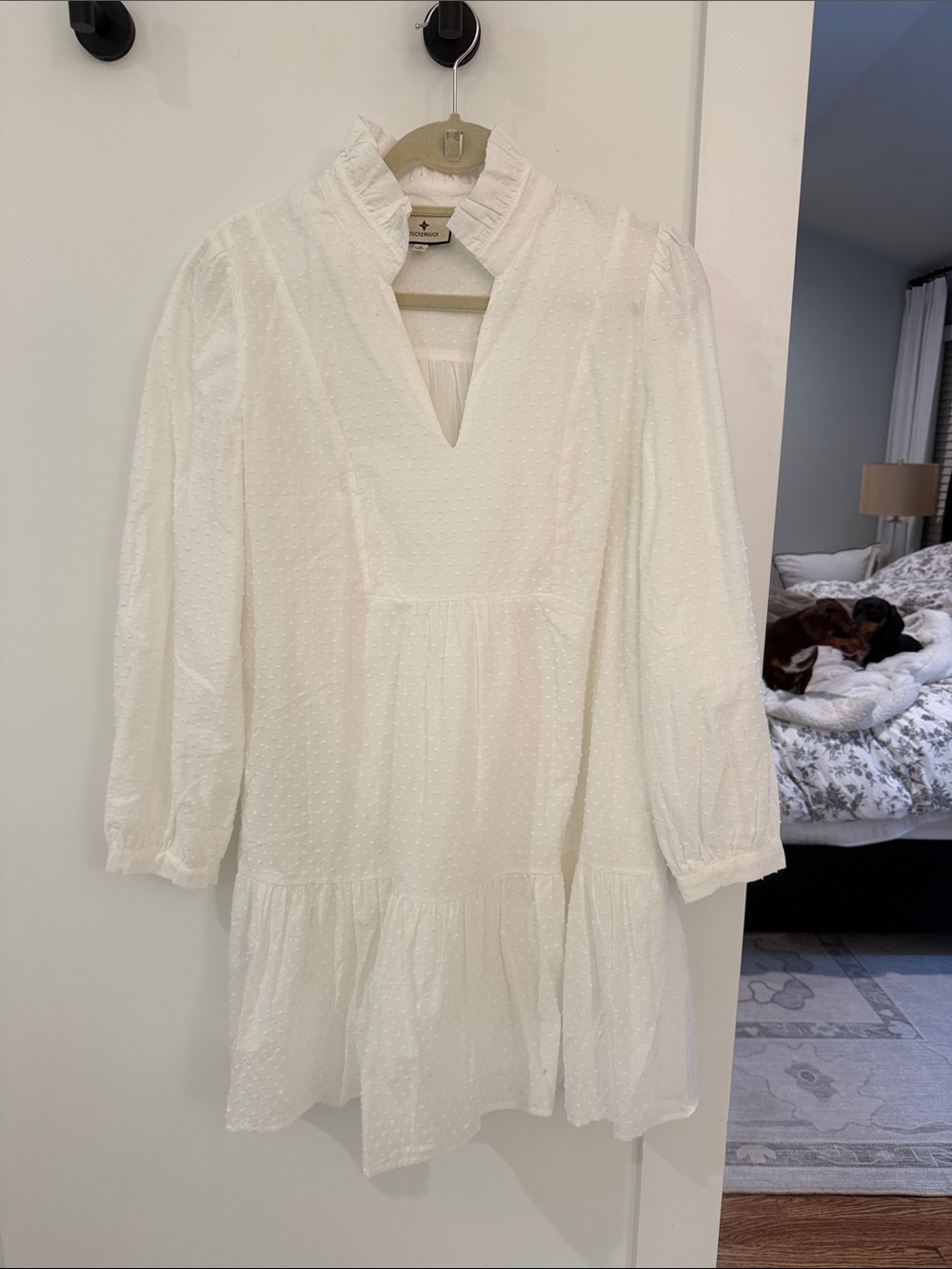 Tuckernuck White Swiss Dot Mini Dress